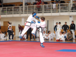 taekwon-do 2..png
